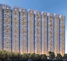 raymond-codename beyond