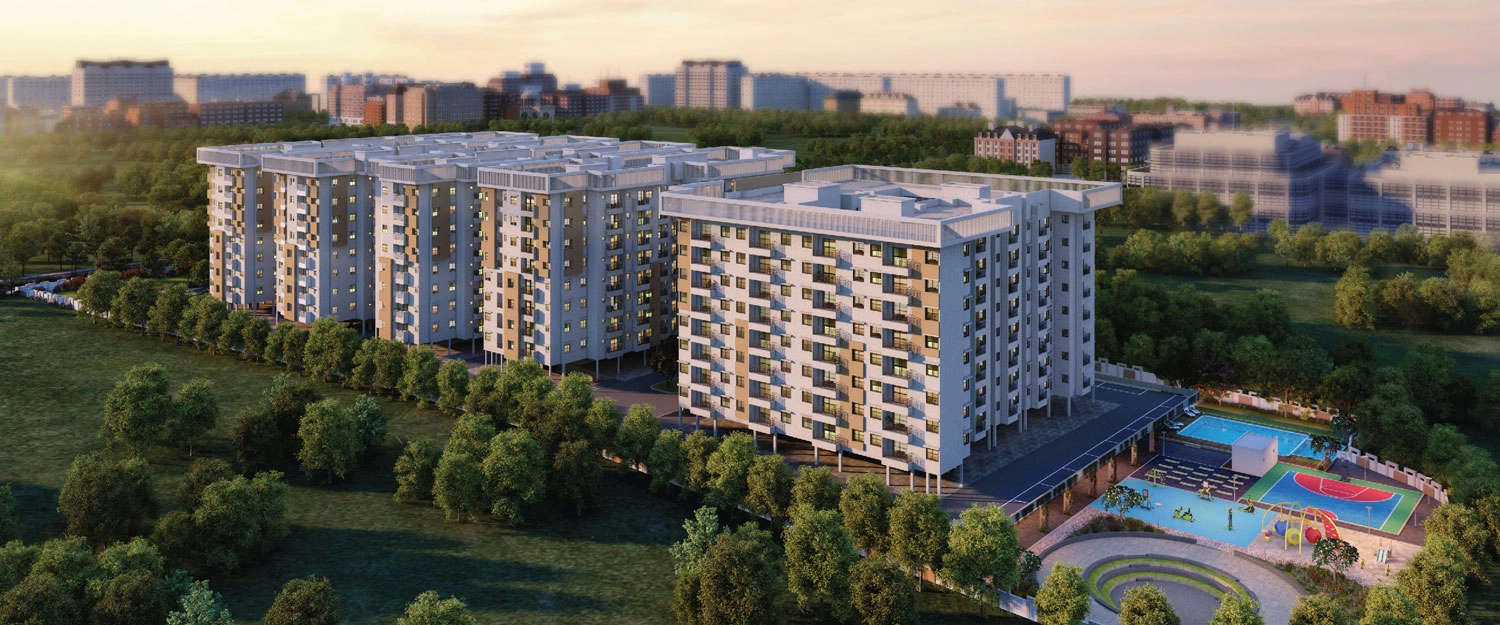 Elevation Image