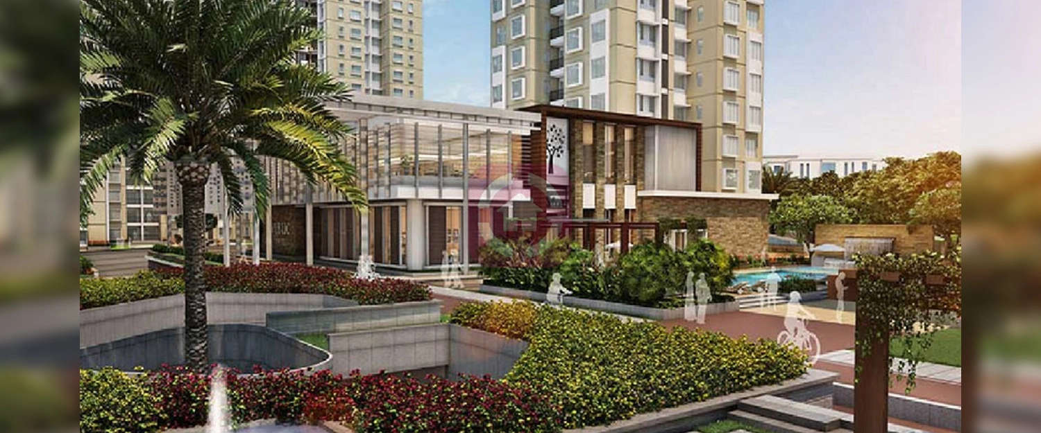 Outdoor Amenities