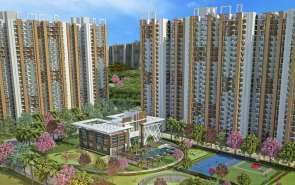 Amrapali Verona Heights Techzone IV Greater Noida W