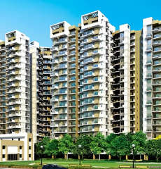 amrapali-verona heights