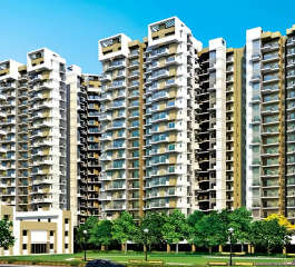 amrapali-verona heights