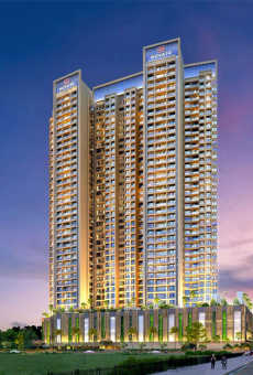 Apex NOVA 10 Elegance