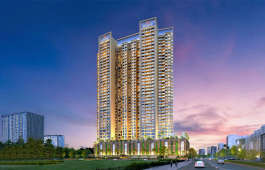 apex-nova 10 elegance