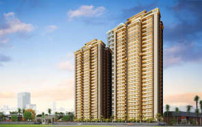 Oro Dynasty Arjunganj