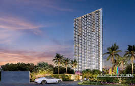 cci-rivali park moonrise