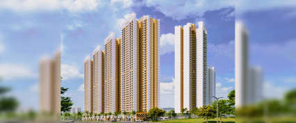 Raunak Maximum City Ghodbunder Road