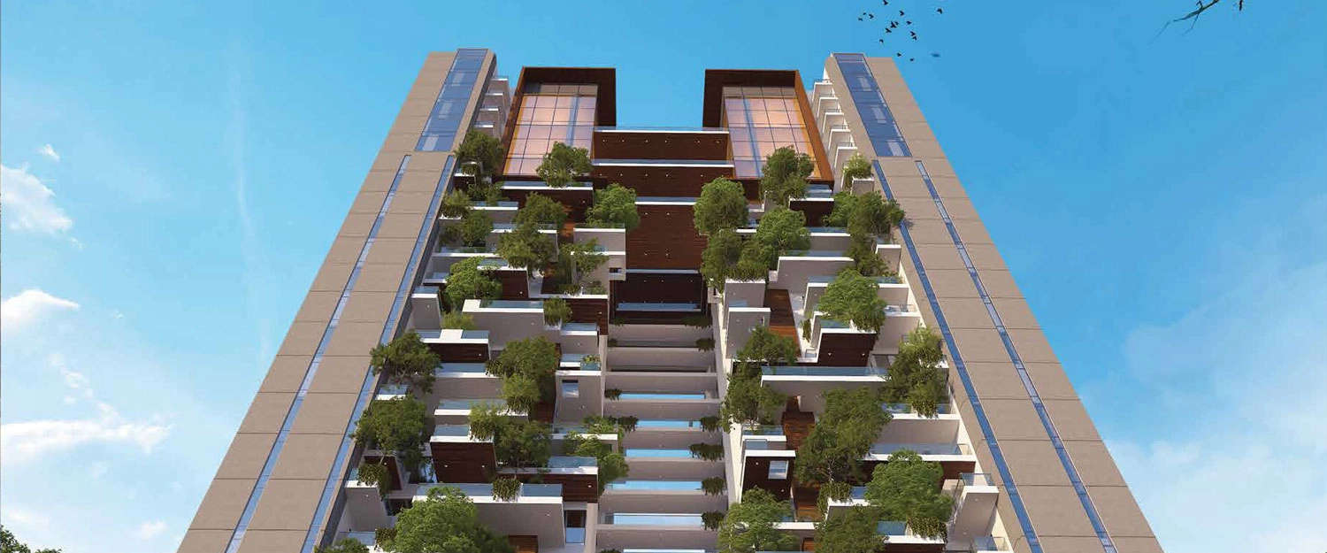 Elevation Image