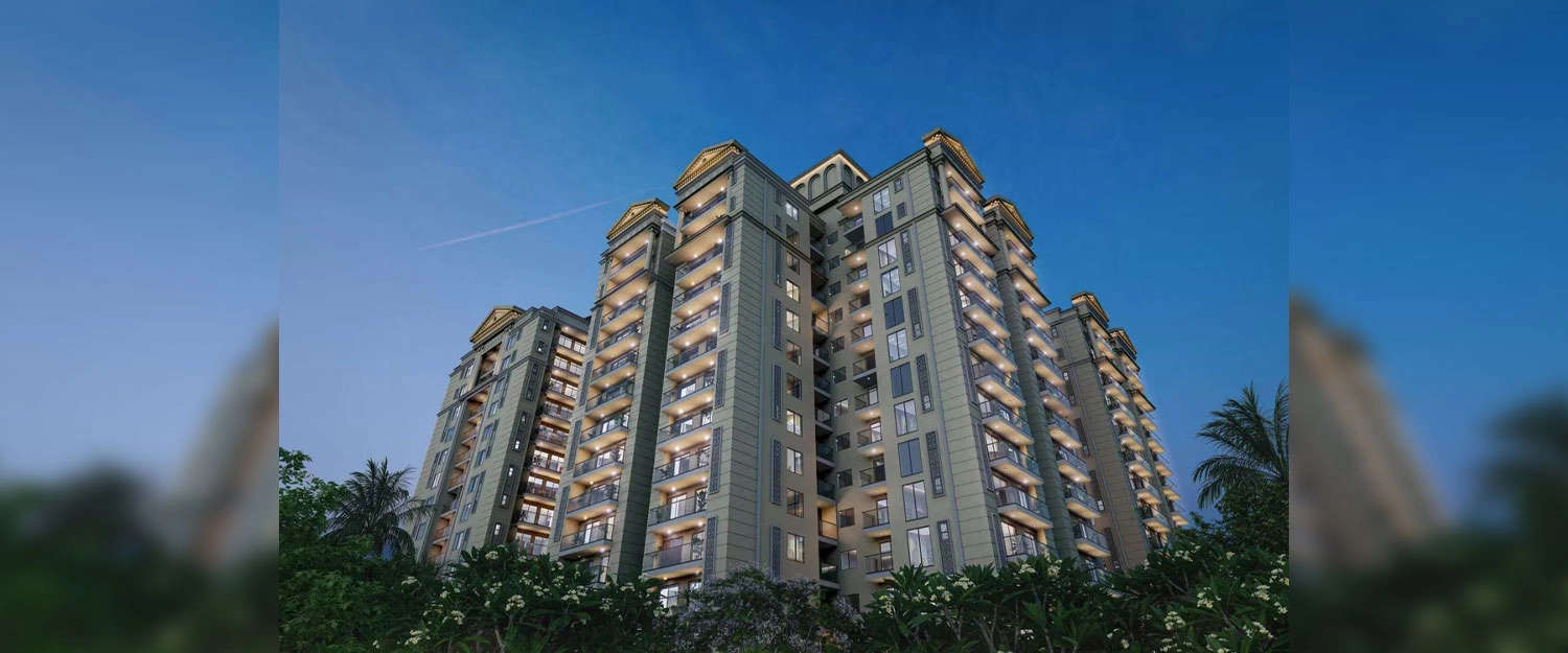 Amenities Construction