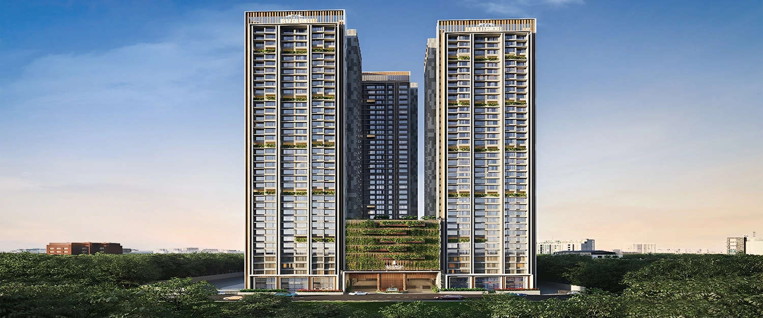 Elevation Image