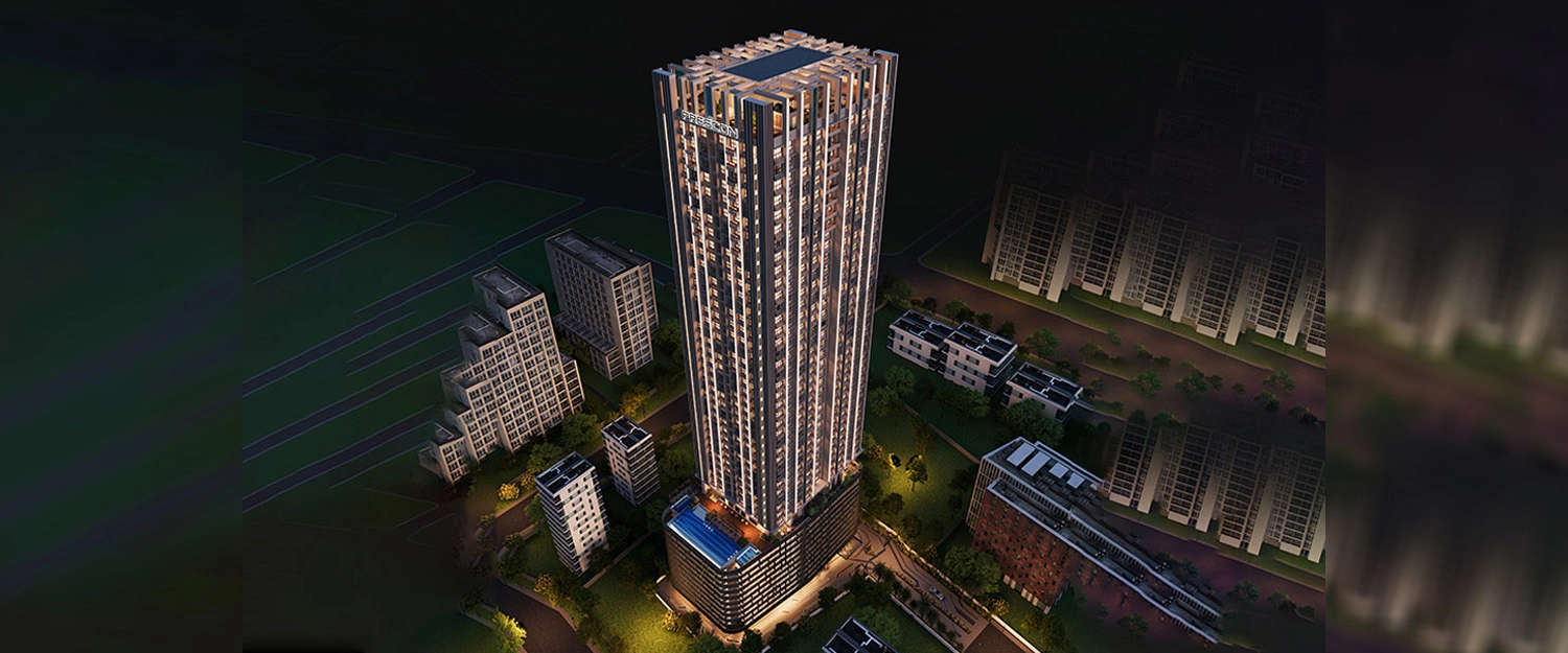 Elevation Image