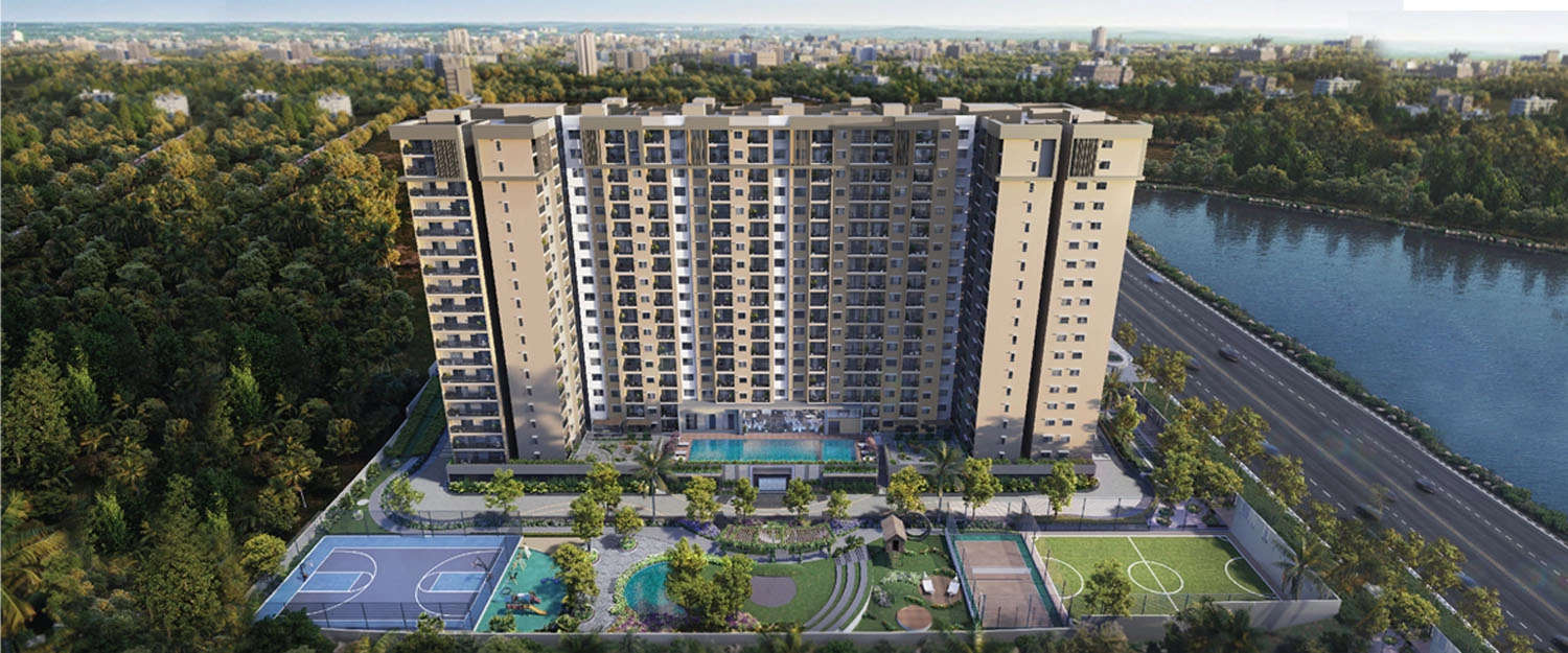 Century Liva