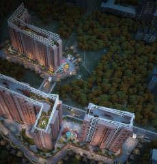 today-codename bellevue