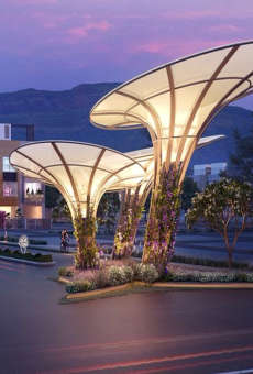 Wadhwa The Reserves
