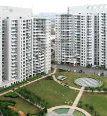 dlf-the icon
