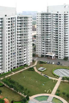 DLF The Icon