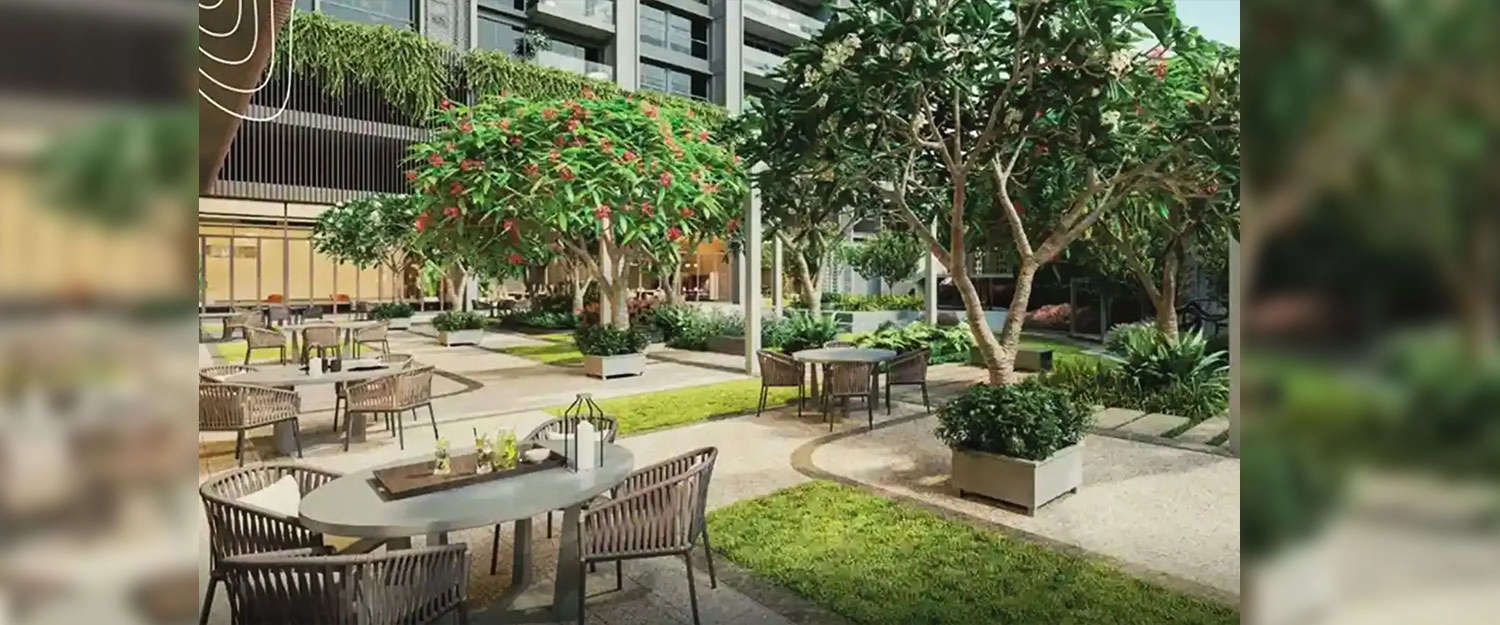 Outdoor Amenities