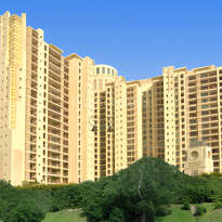 dlf-the summit