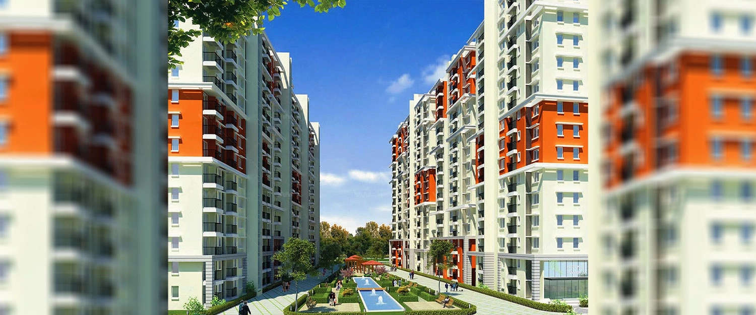 Outdoor Amenities