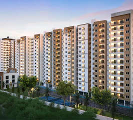 sowparnika-rhythm of rain