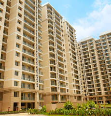 dlf-commanders court