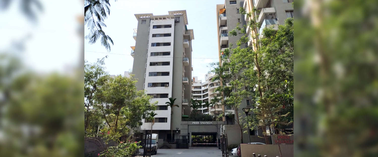 Project Entrance View