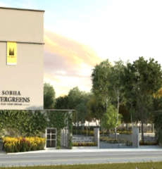sobha-evergreens