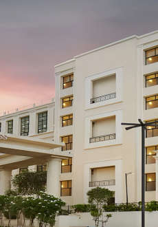 alliance-orchids springs