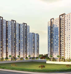 provident-codename vista