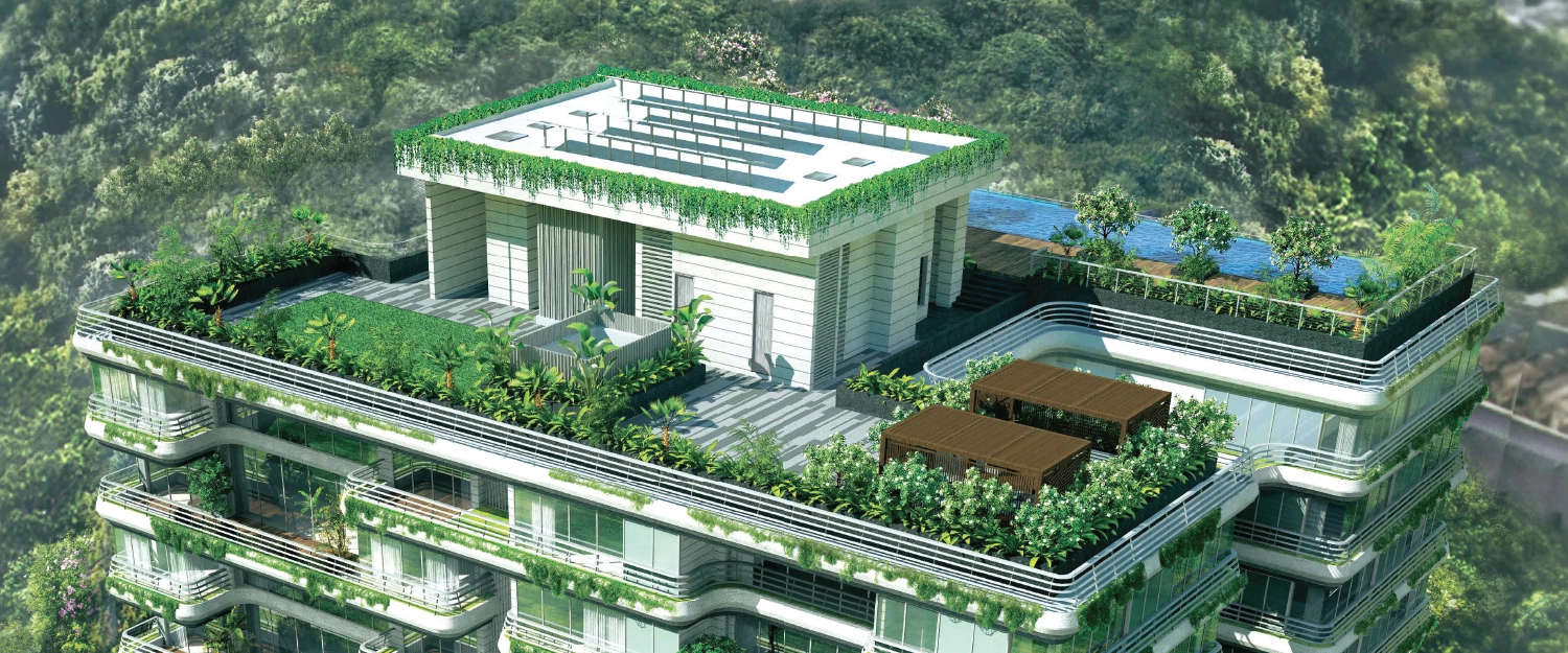 Elevation Image