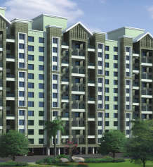 kolte-patil cilantro