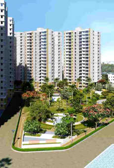 Prestige Lake Ridge