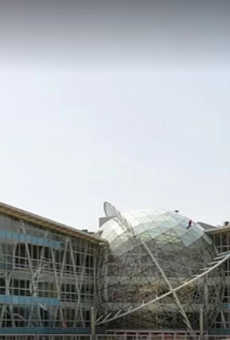 DLF Star Mall