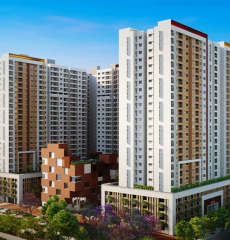 brigade-morgan heights