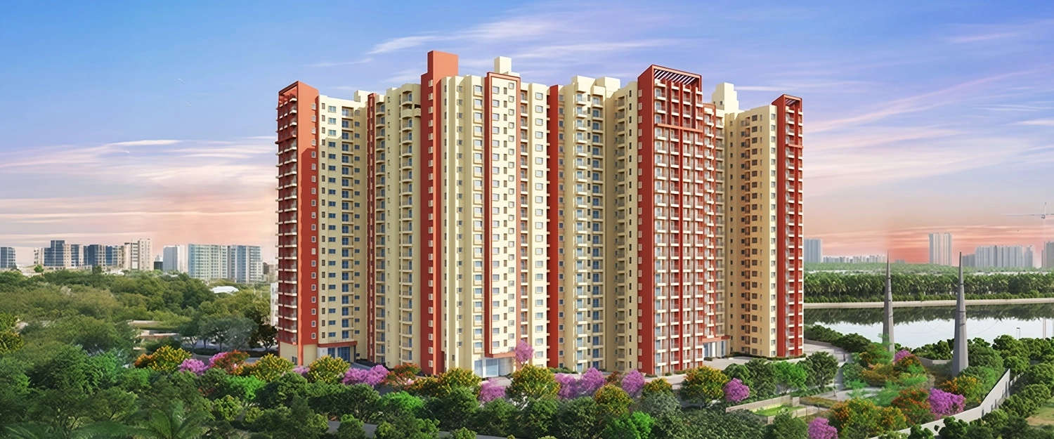 Elevation Image