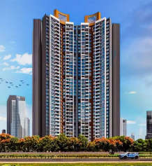 lodha-codename limited edition