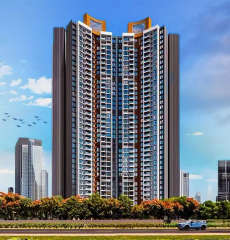 lodha-codename limited edition