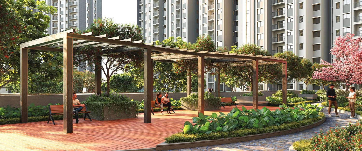 Outdoor Amenities