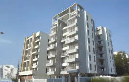 neel-siddhineel harmony