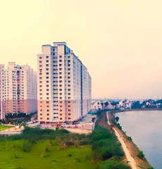 alliance-orchids springs