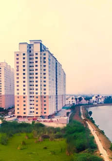 alliance-orchids springs