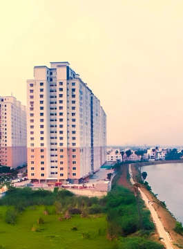 alliance-orchids springs