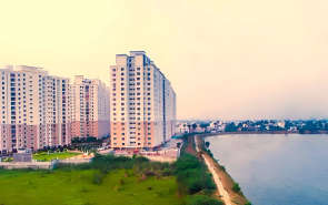 Alliance Orchids Springs Korattur