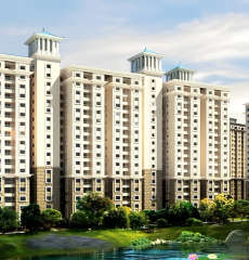 alliance-orchids springs