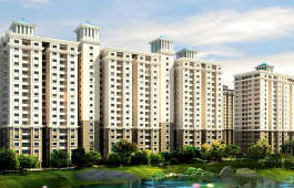 alliance-orchids springs