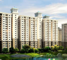 alliance-orchids springs