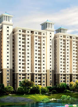 alliance-orchids springs