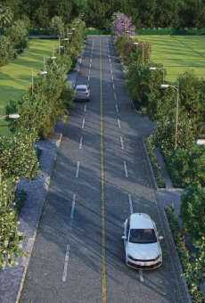 Purva Woodfield