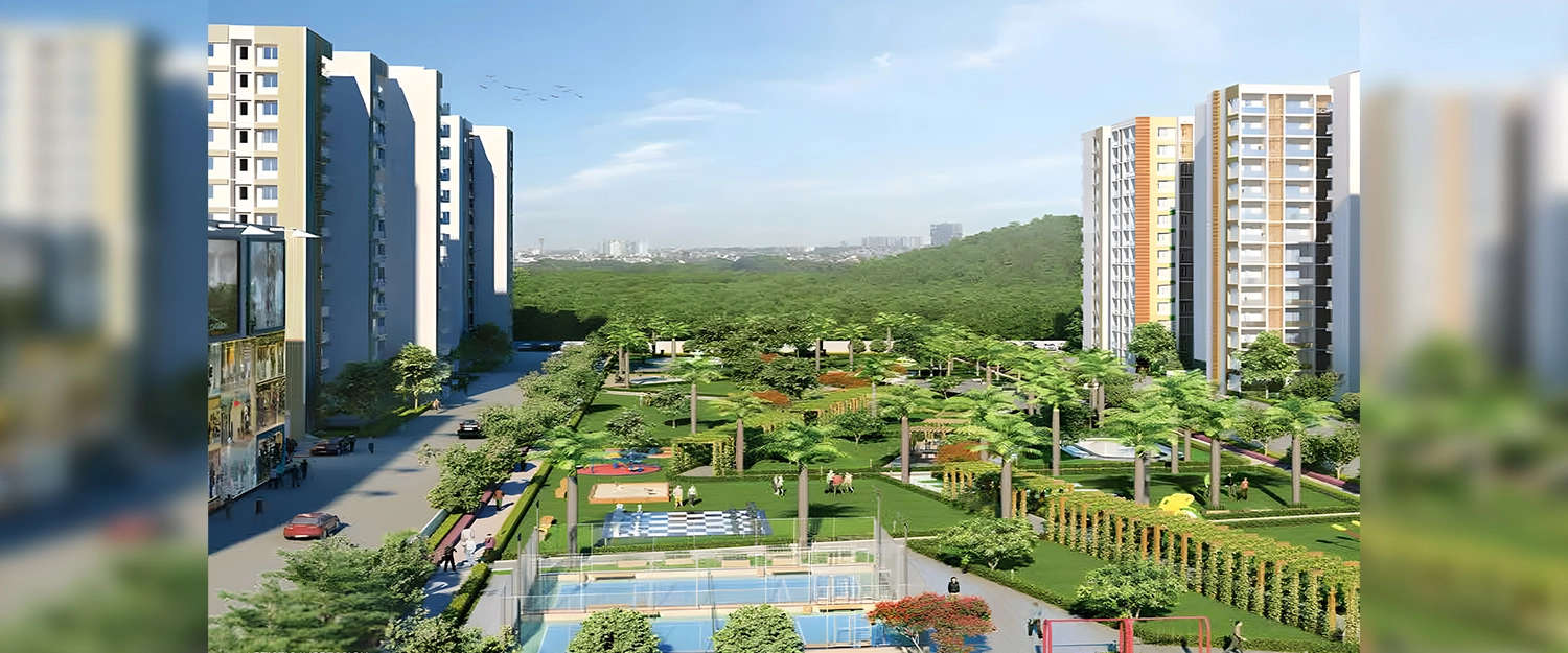 Outdoor Amenities