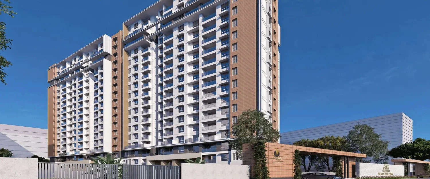 Elevation Image
